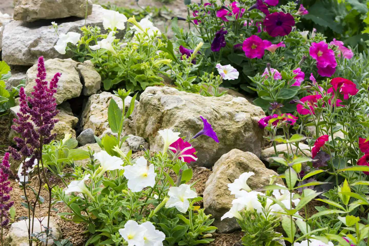 Rocks and Flowers puzzle online from photo