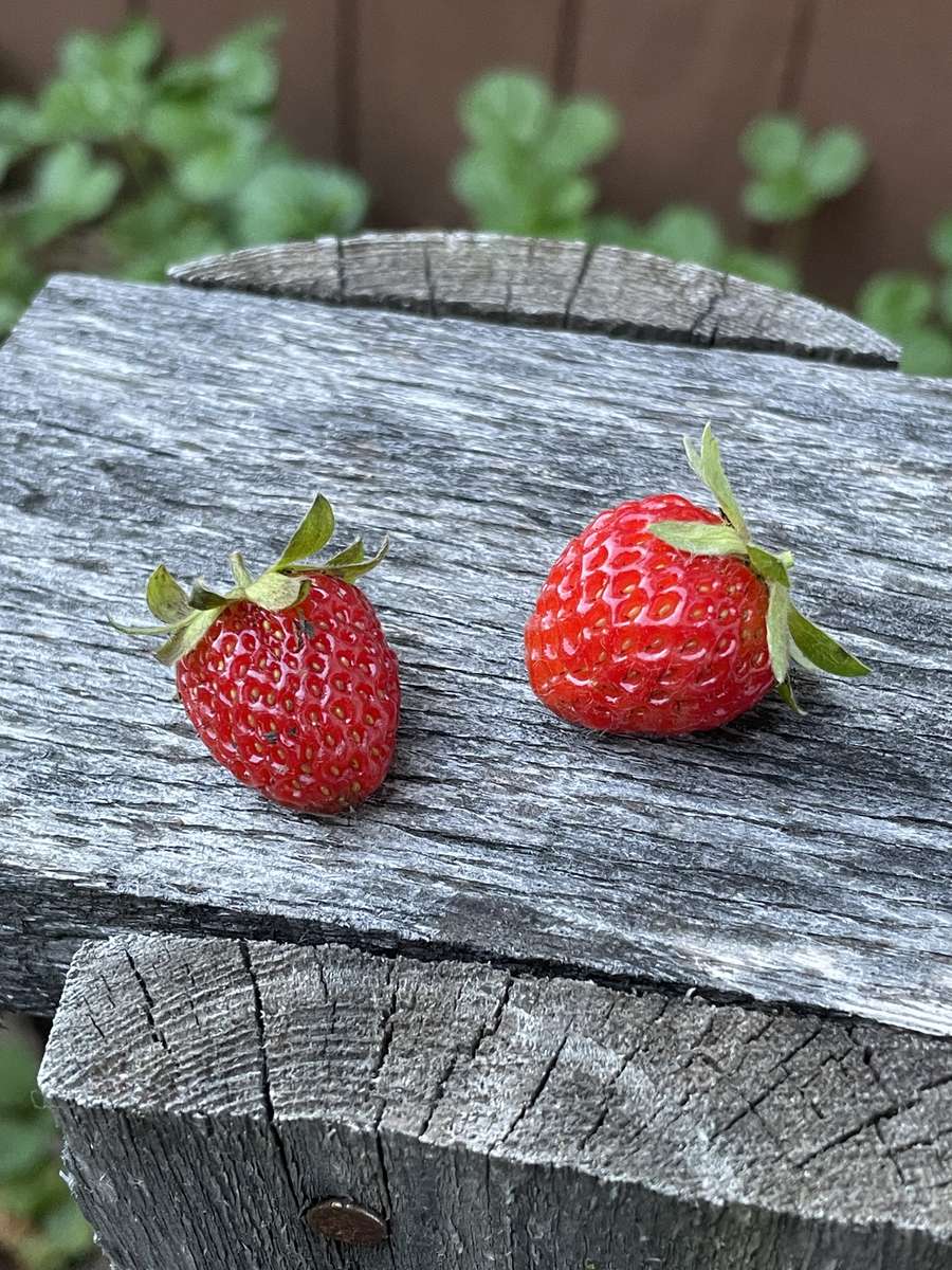 Strawberries puzzle online from photo