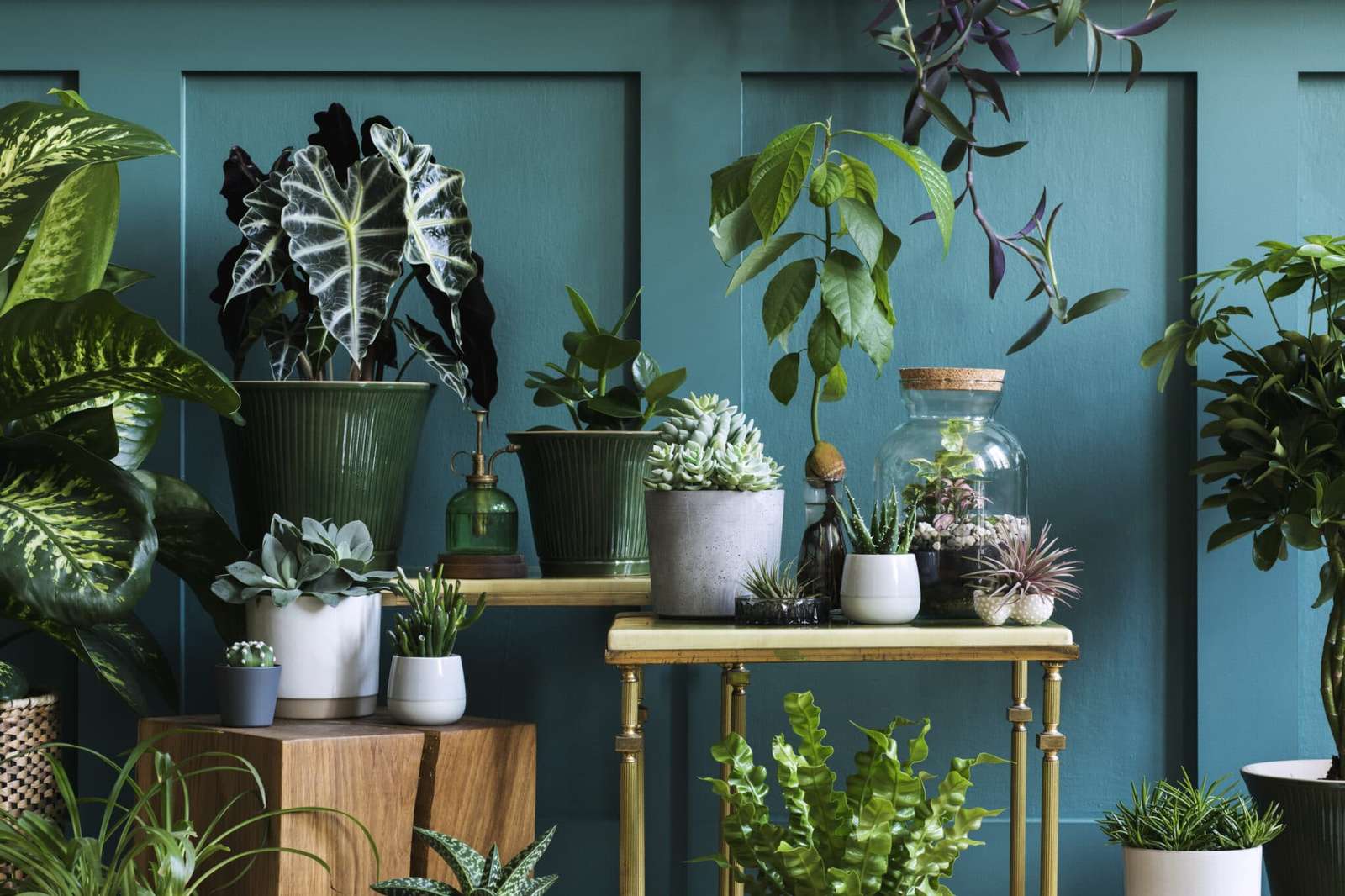 Голубая комната и растения онлайн-пазл
