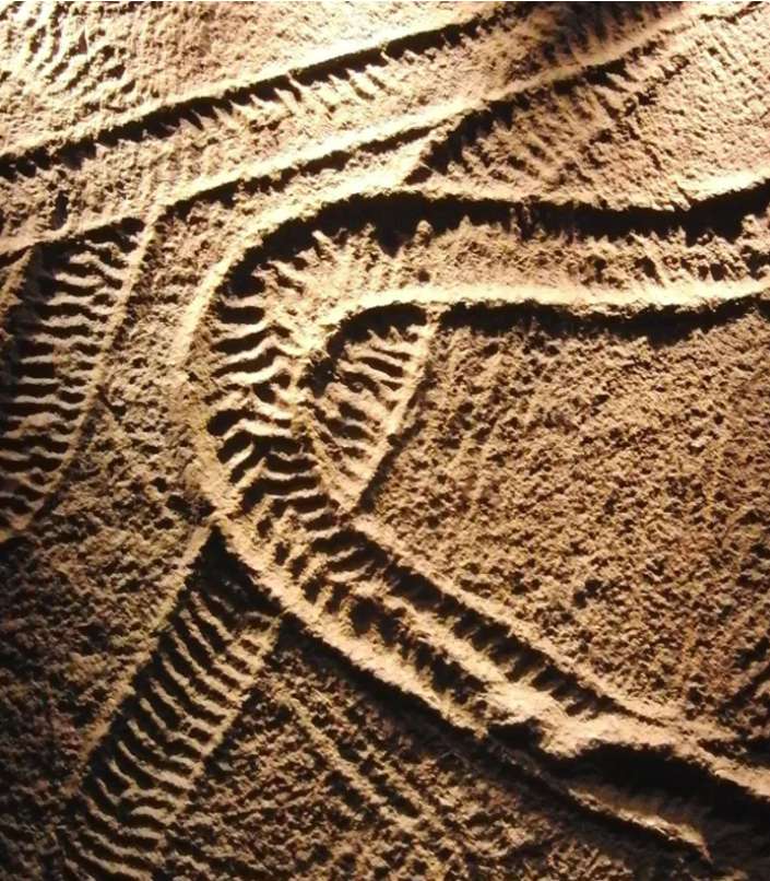 Ίχνη απολιθώματος παζλ online από φωτογραφία
