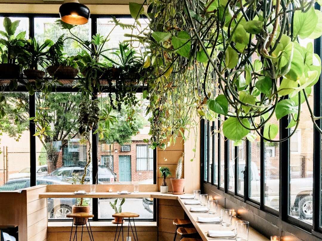 Plantas no restaurante puzzle online a partir de fotografia