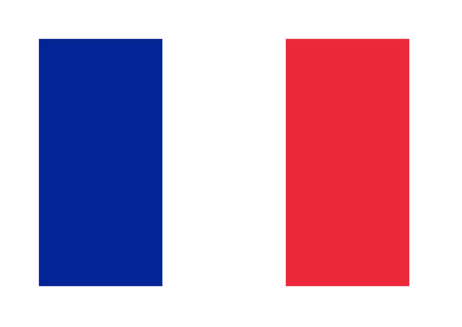 bandiera della francia puzzle online