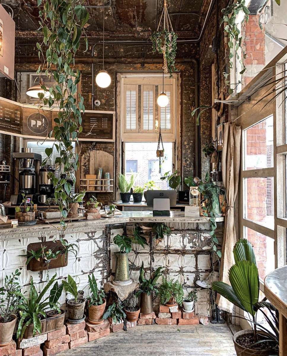 Cafe Plants puzzle online din fotografie