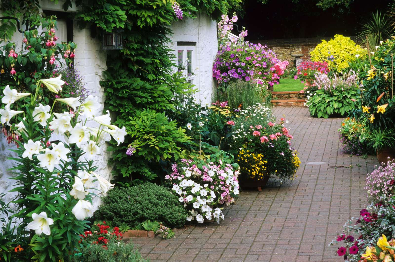 Blommor och växter pussel online från foto