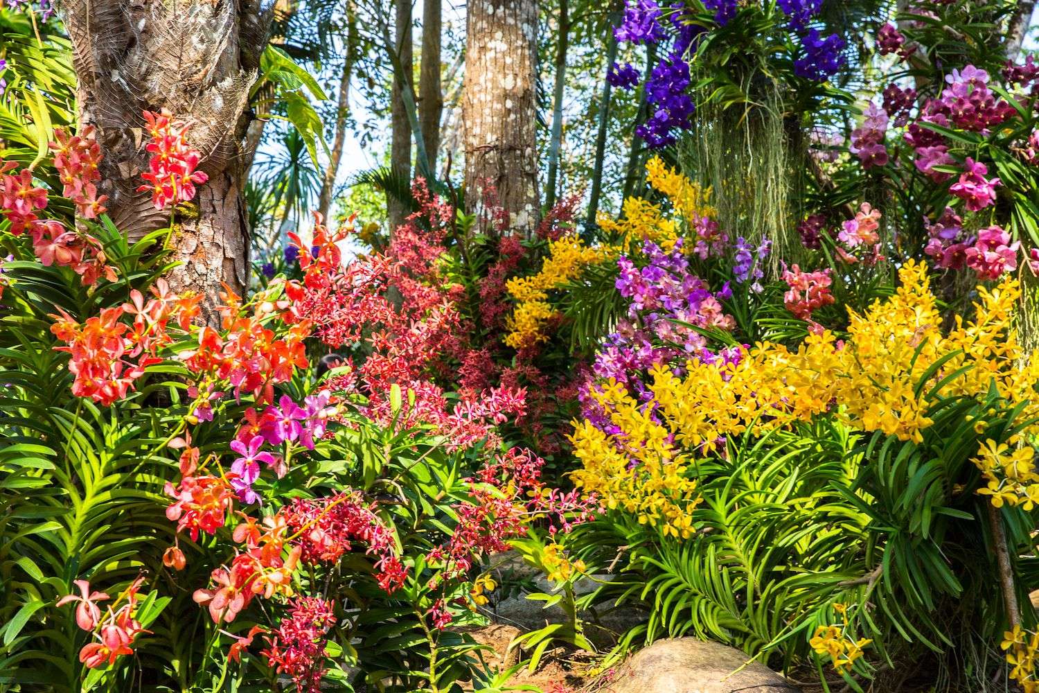 Цветя в гората онлайн пъзел