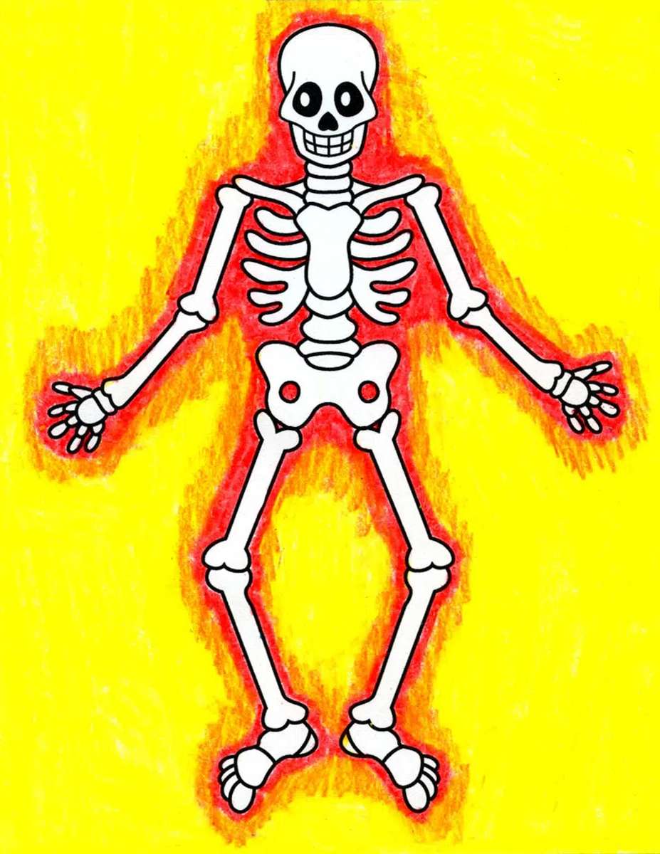 scheletro puzzle online da foto