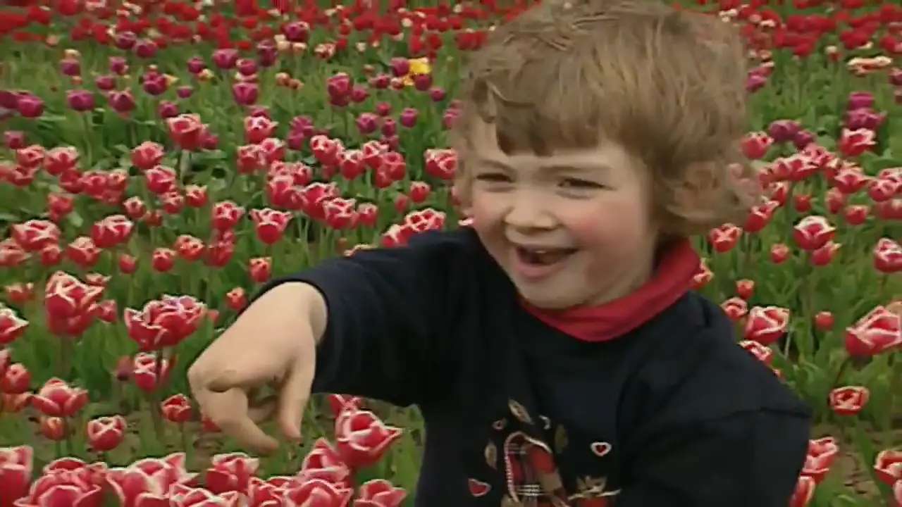 Niña cerca de tulipanes rompecabezas en línea