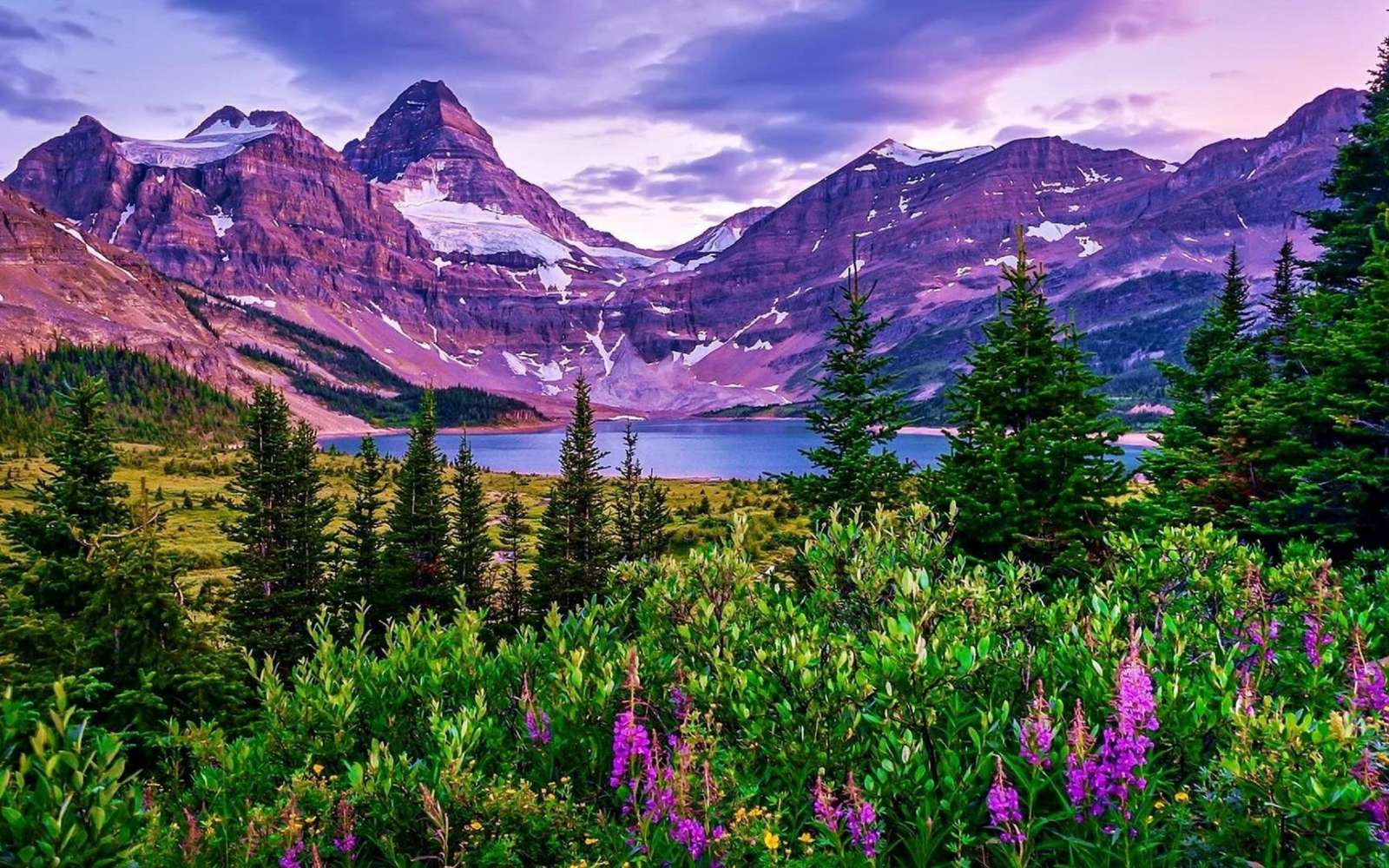 Mountain in View online puzzle