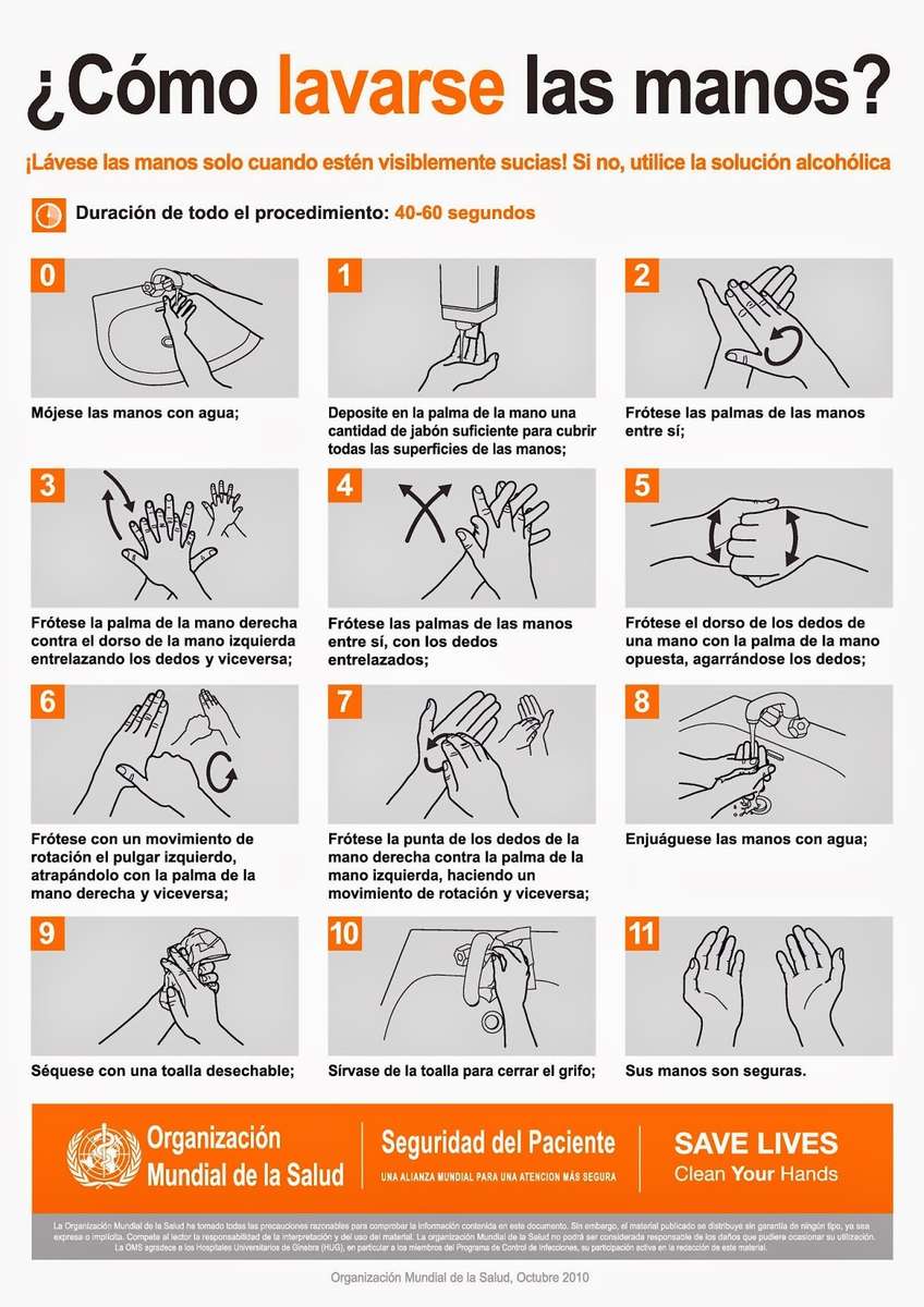 lavado de manos pussel online från foto