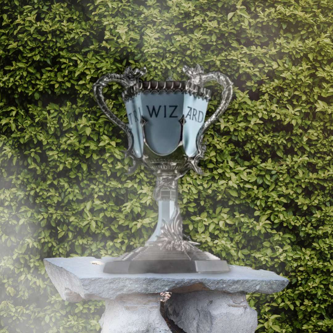 Coupe TriWiz puzzle en ligne à partir d'une photo