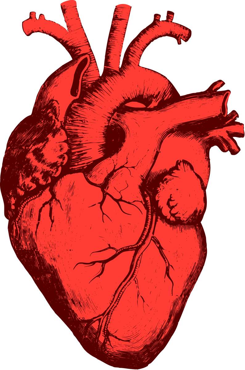 Heartdhd pussel online från foto