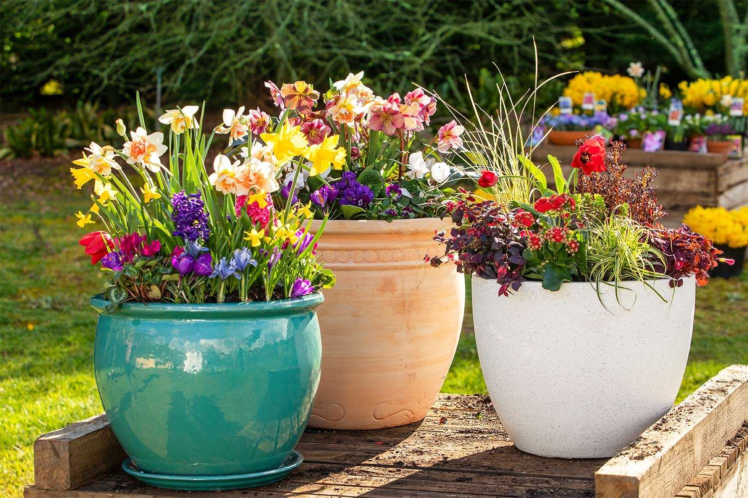 Planters In Bloom puzzle online from photo