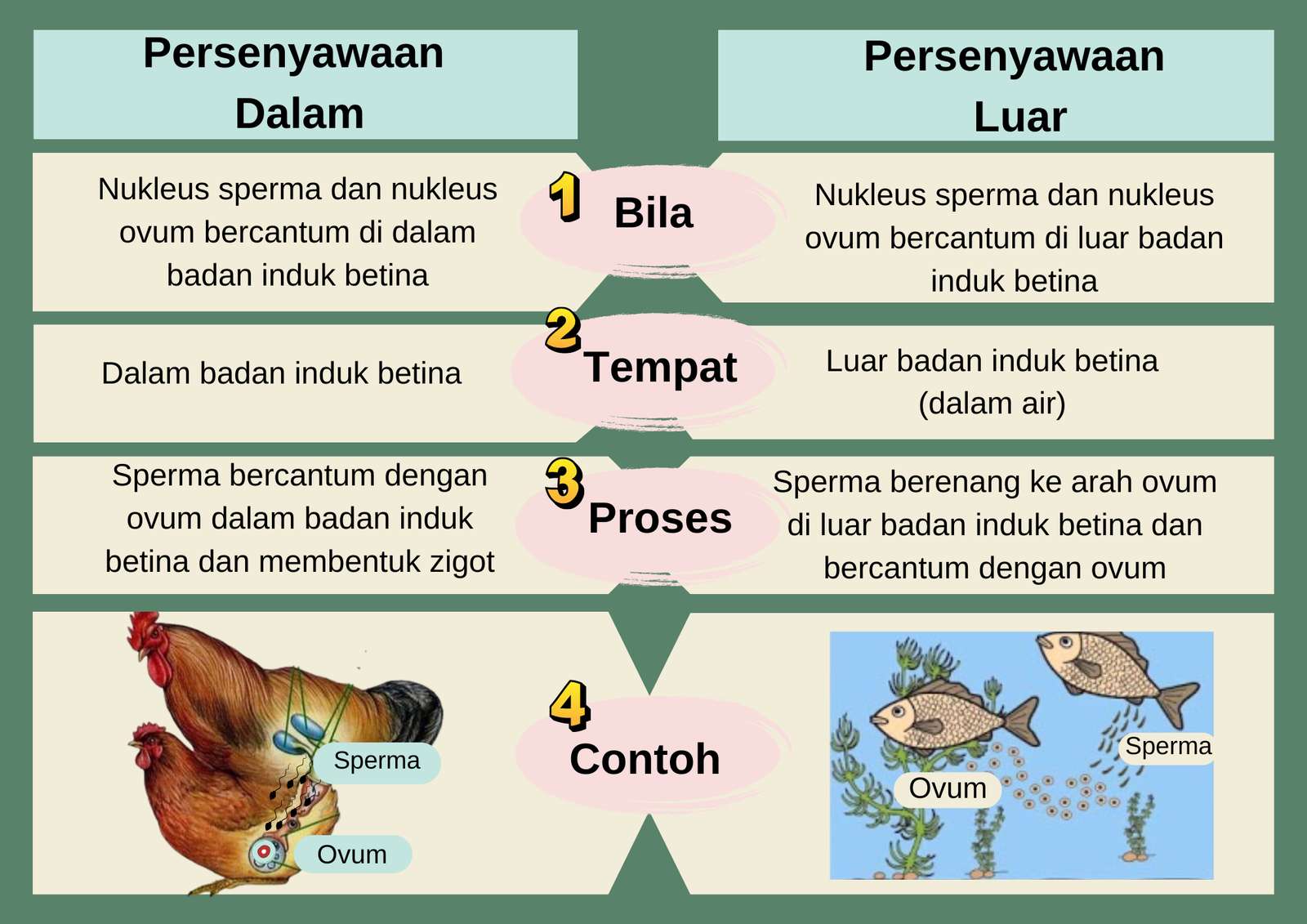 Aeks pembiakan puzzle online din fotografie