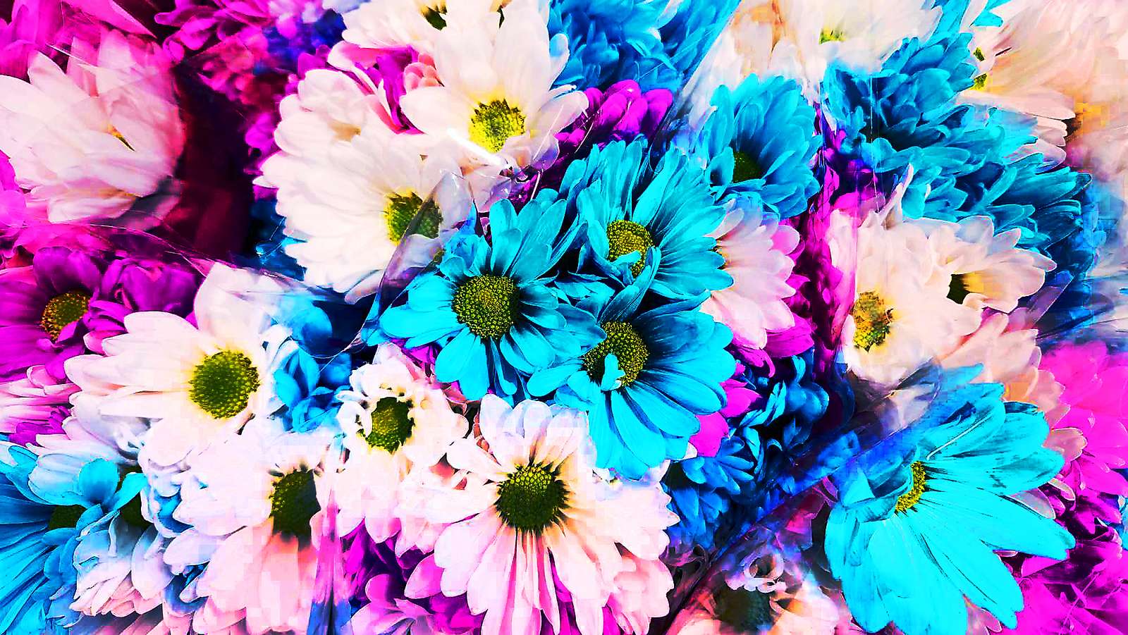 ανοιξιάτικα λουλούδια παζλ online από φωτογραφία