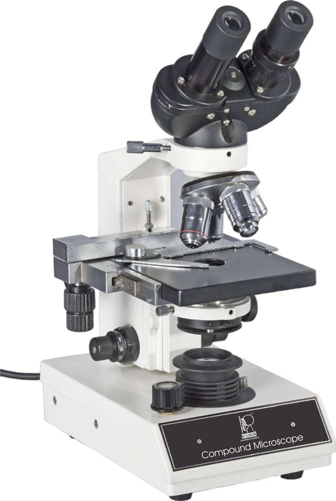 Složený mikroskop online puzzle