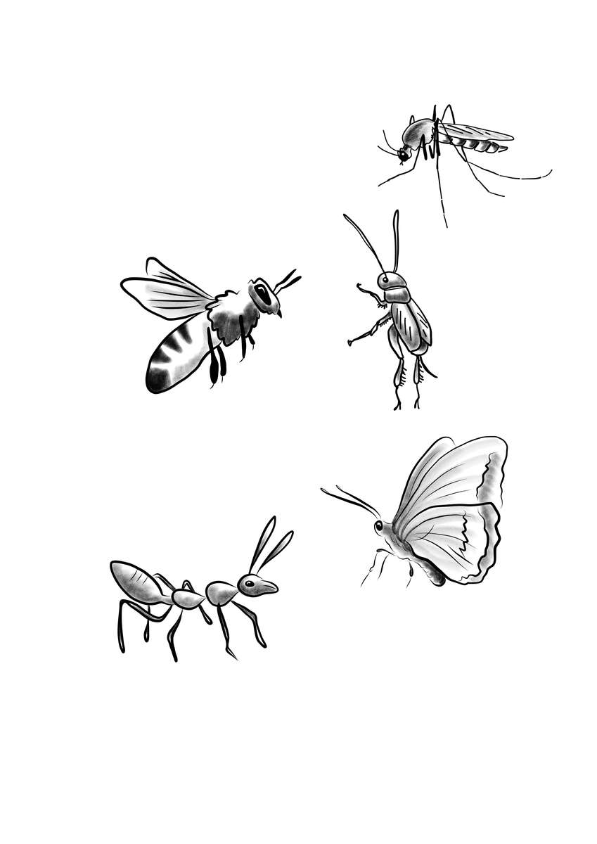 Пъзел насекоми онлайн пъзел от снимка