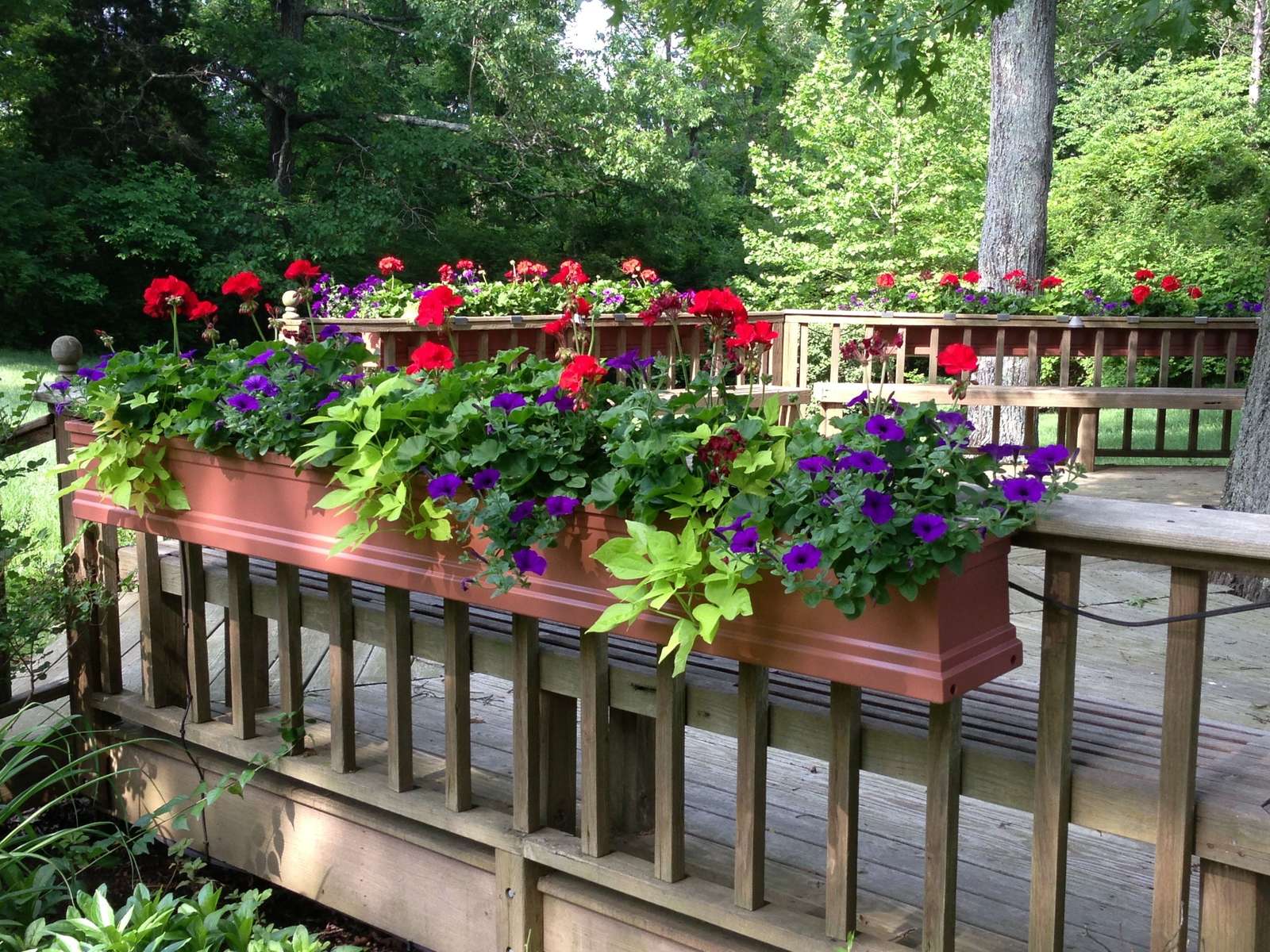 Planten en veranda's 2 puzzel online van foto