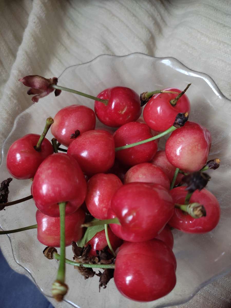 Garden cherry puzzle online from photo
