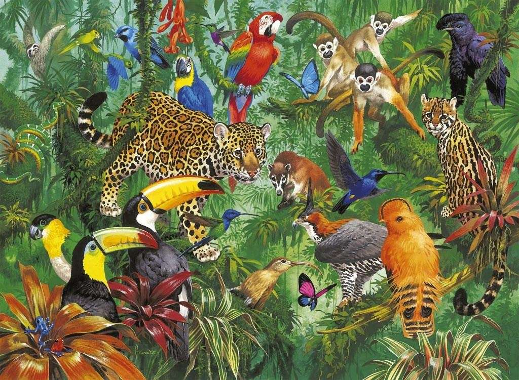 biodiversiteit selva humeda online puzzel