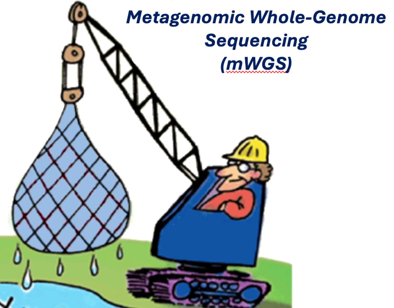 WGS metagenómico rompecabezas en línea