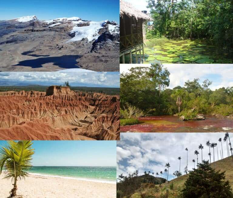 Ecosystems of Colombia online puzzle