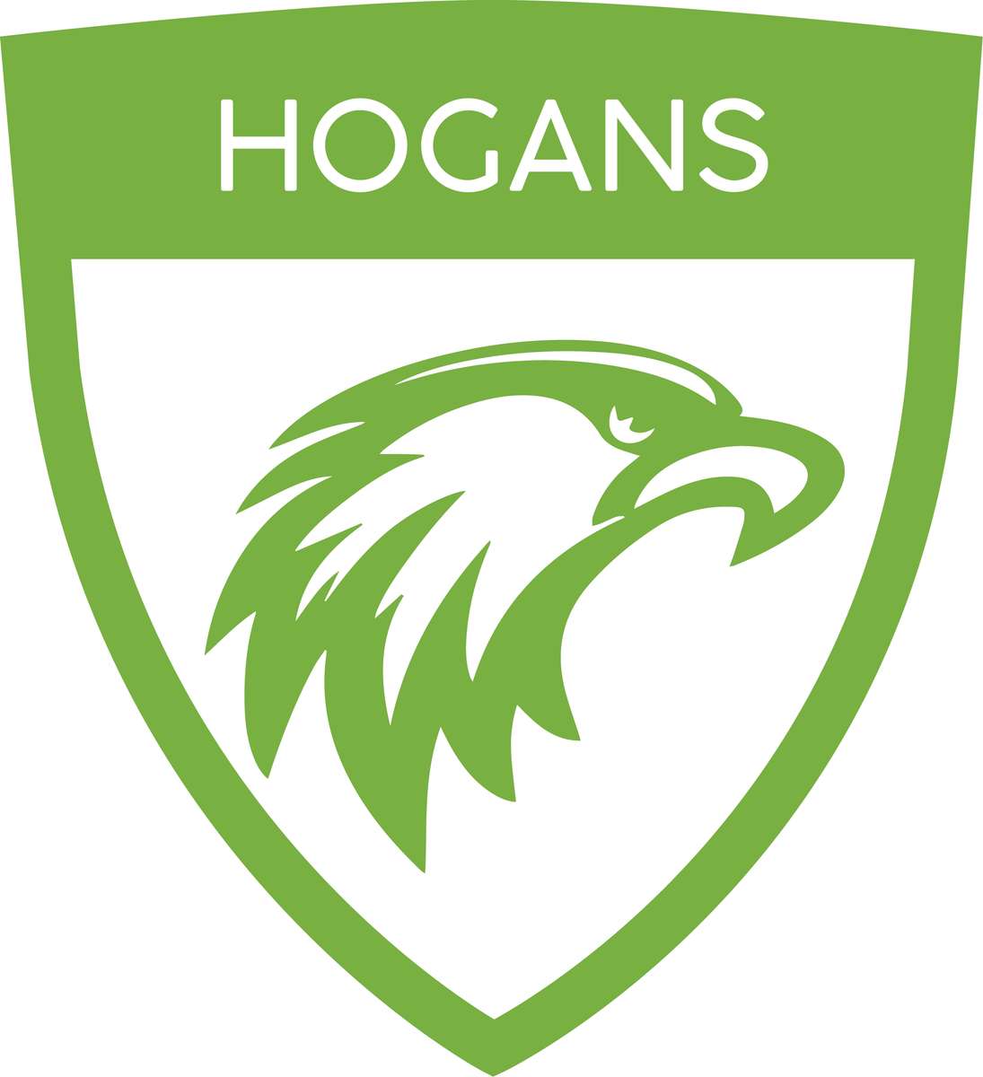 puzzle di Hogan puzzle online