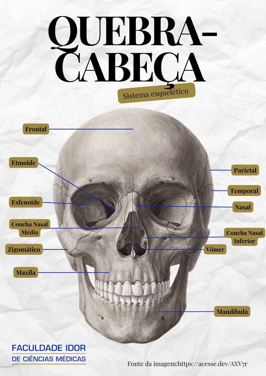 Quebra Cabeça Cranio puzzel online van foto