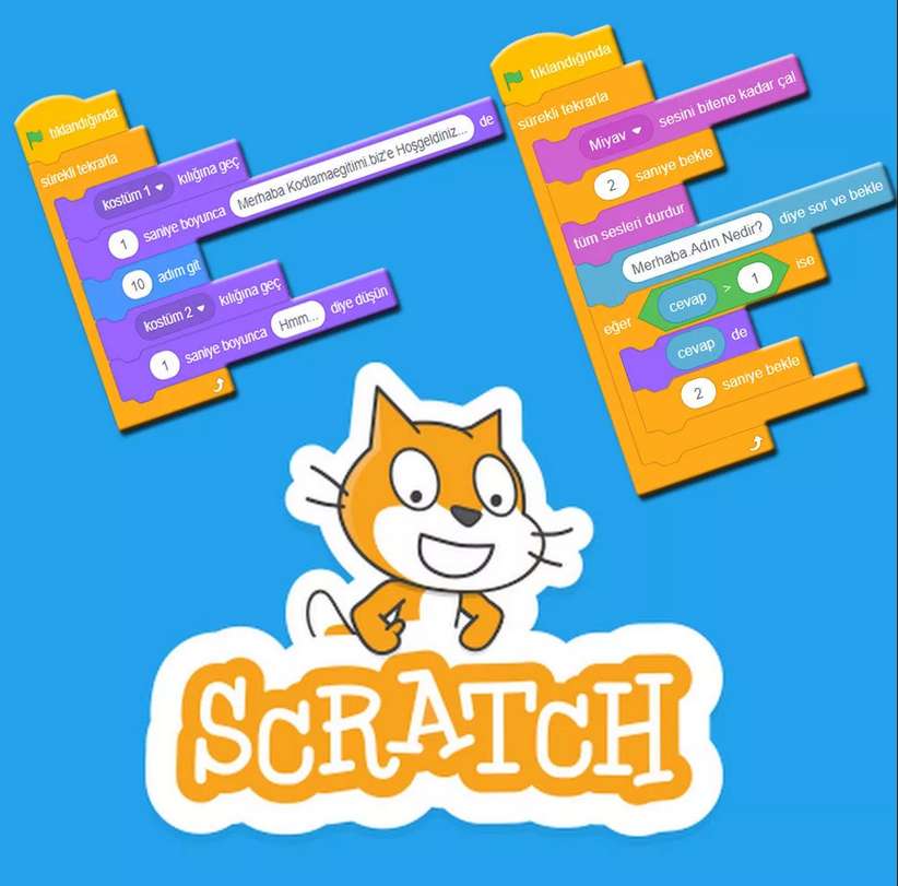 Scratch photo онлайн пазл