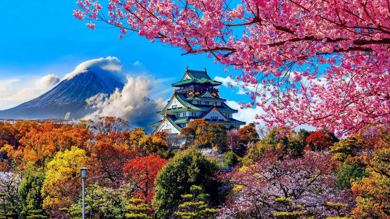 Japan Blooms puzzle online from photo