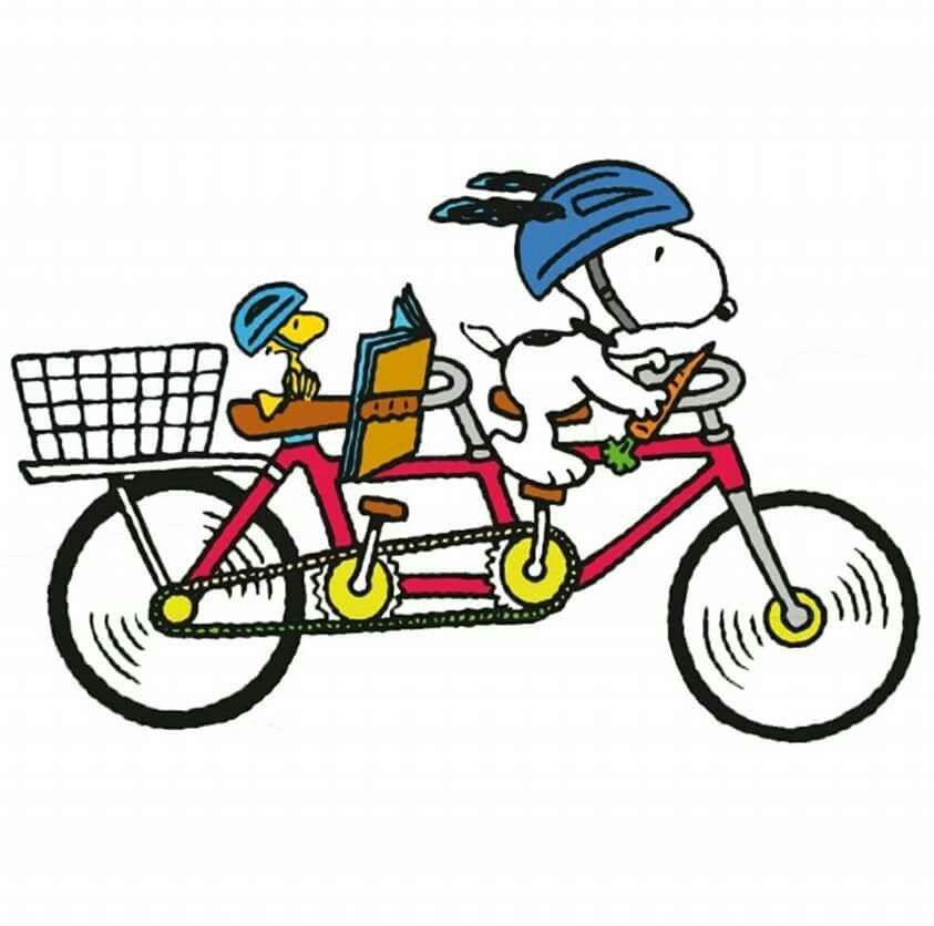 Snoopy riding a tandem puzzle online from photo