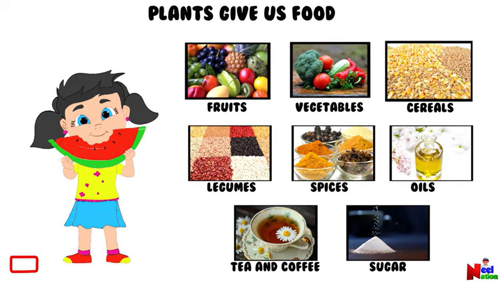 USES OF PLANTS puzzle online from photo