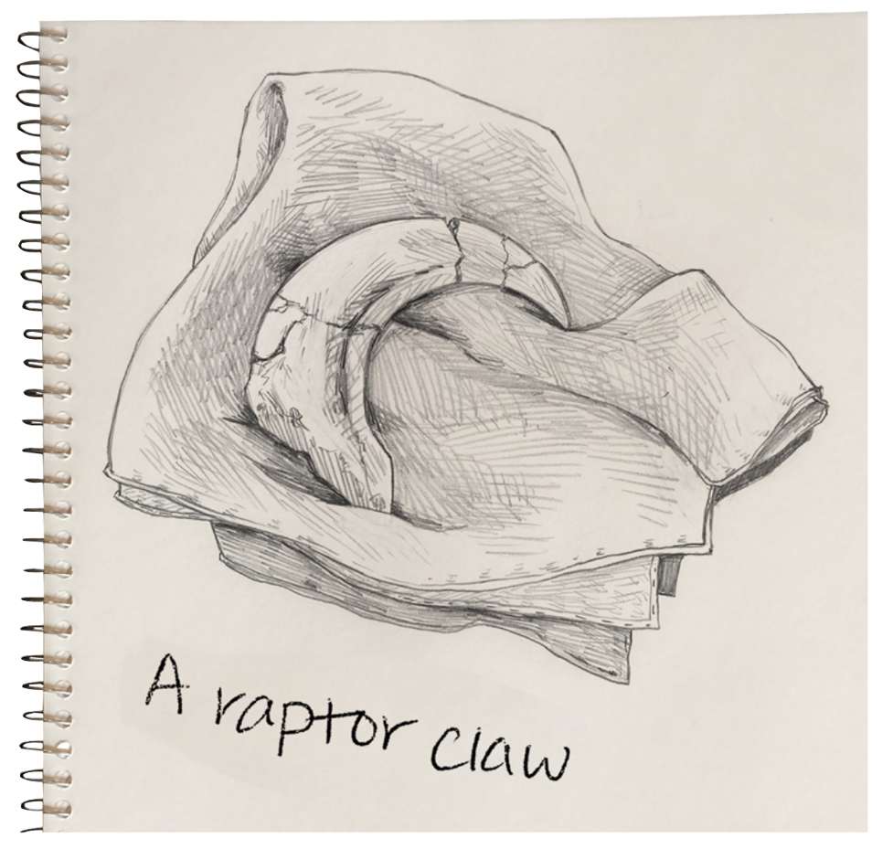 Raptor Claw Pussel online