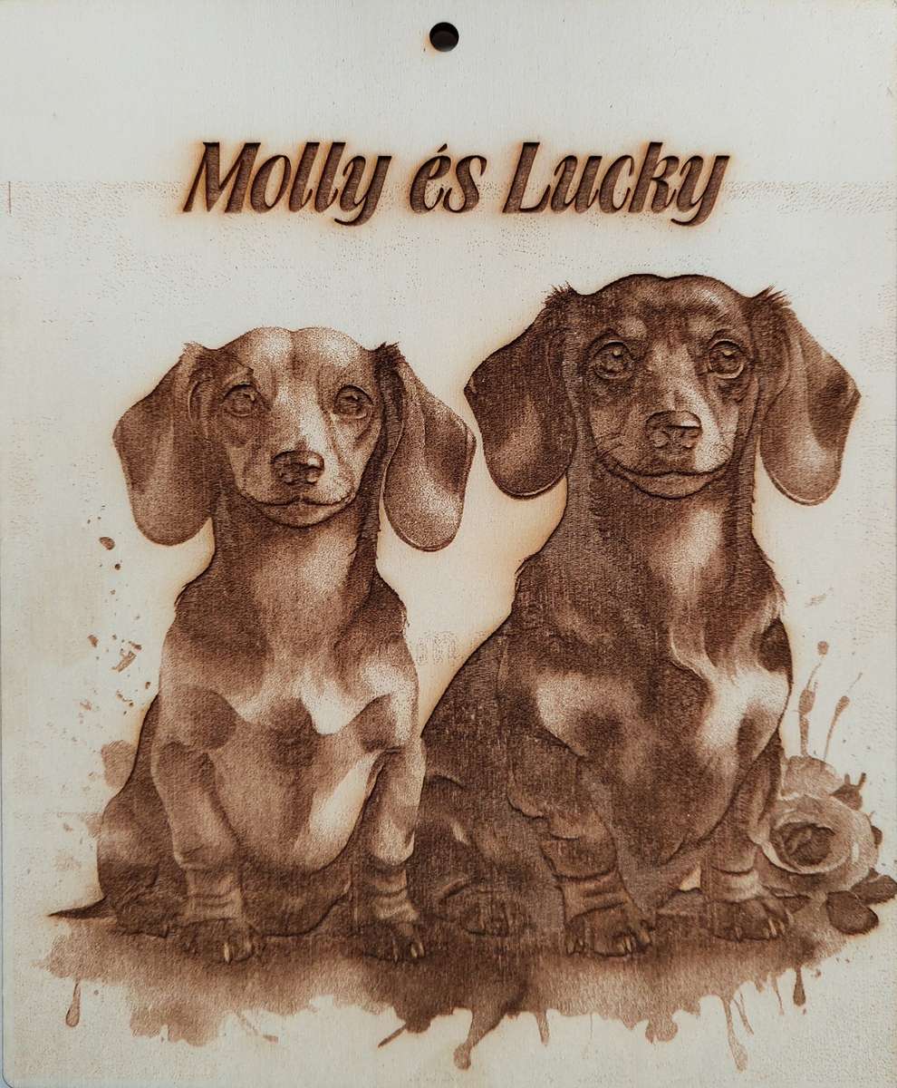 molly și norocos puzzle online