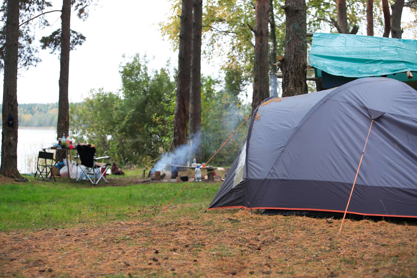 Camping Enable rompecabezas en línea