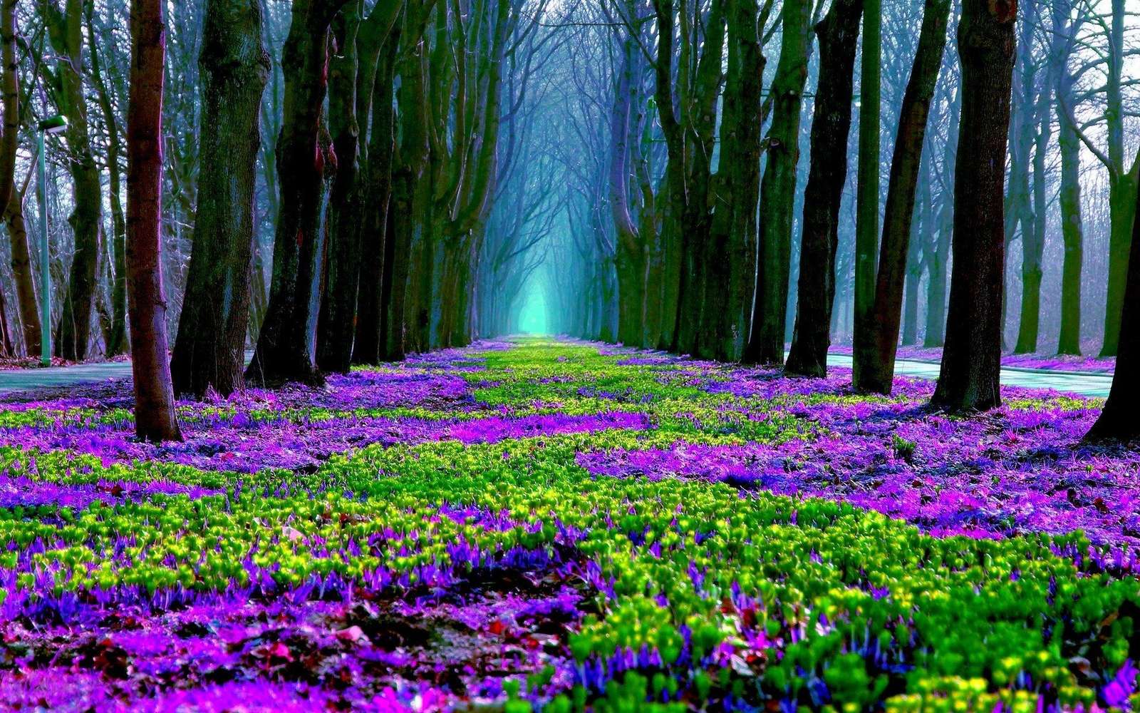 Фиолетовые цветы и деревья онлайн-пазл