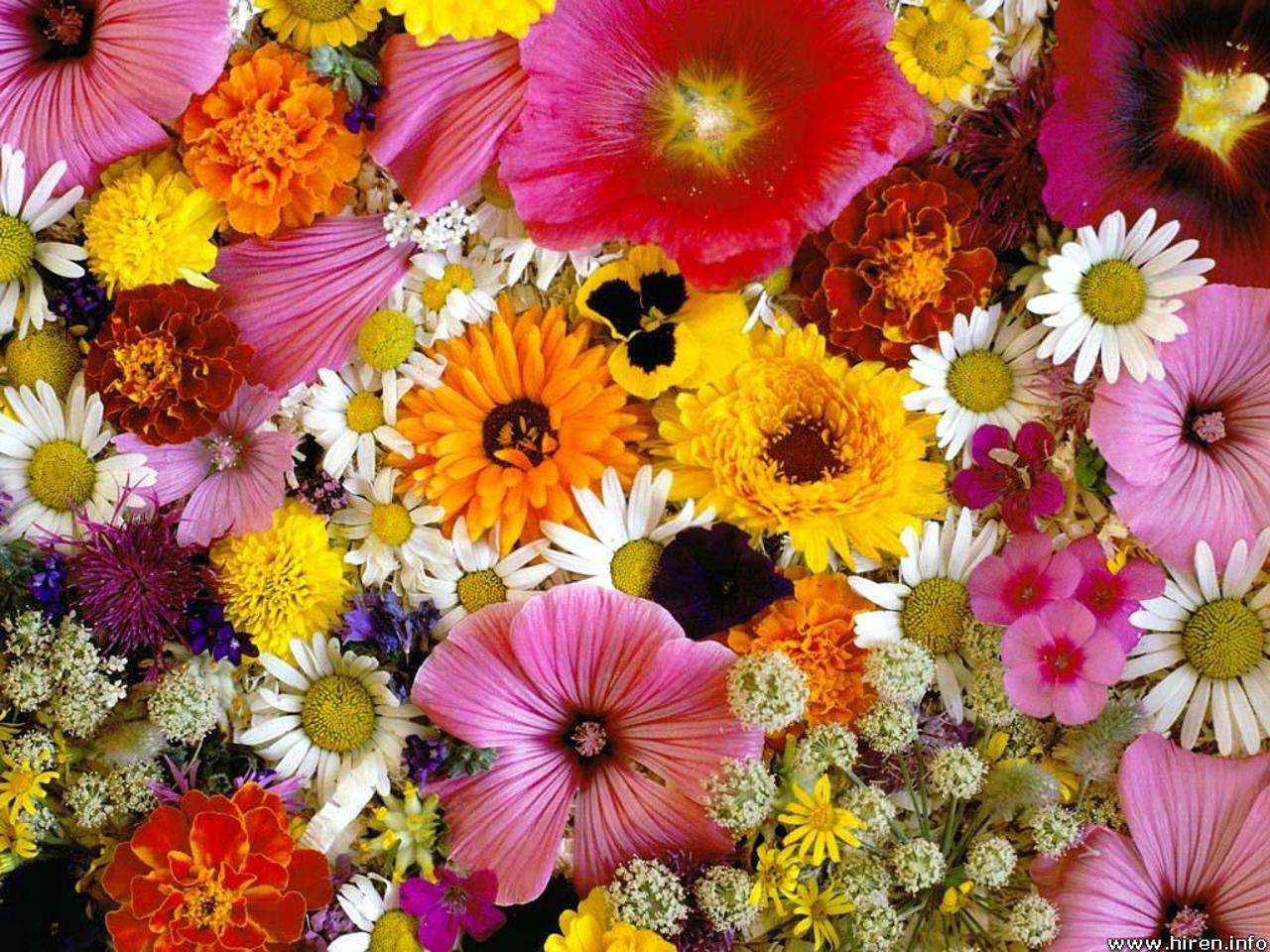 Цветы в цвету пазл онлайн из фото