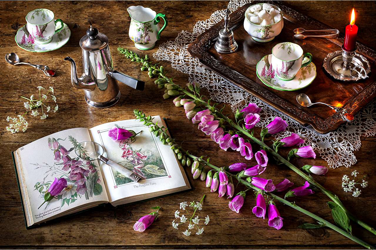 Digitalis purpurea Online-Puzzle