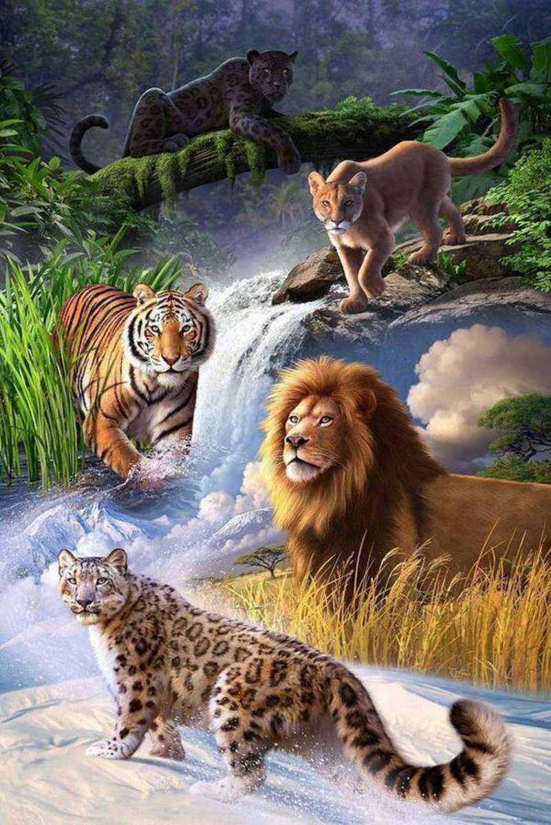 The Big Cats online puzzle