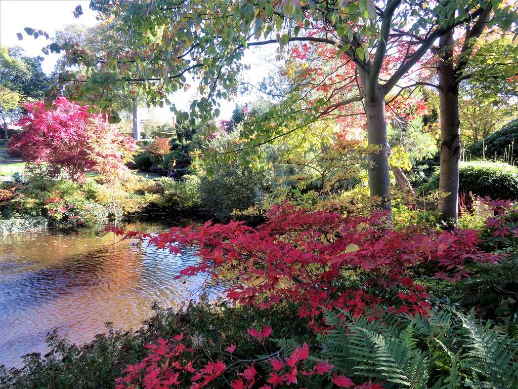 Bomen en bloemen puzzel online van foto