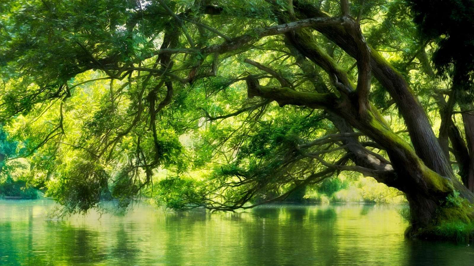 Lots of Green and Water puzzle online from photo