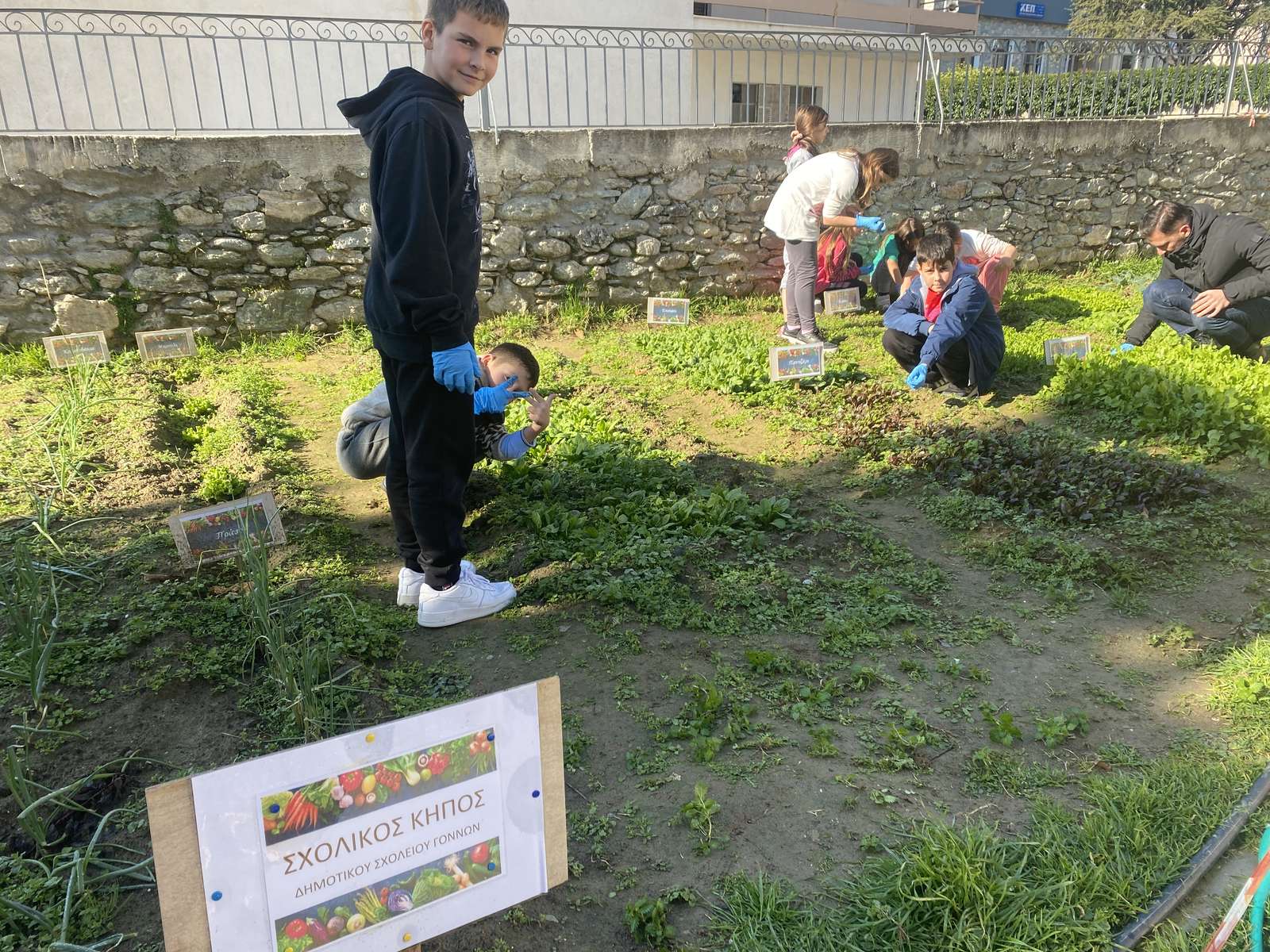 e-Twinning Green : jouer au puzzle dans le jardin de l'école puzzle en ligne