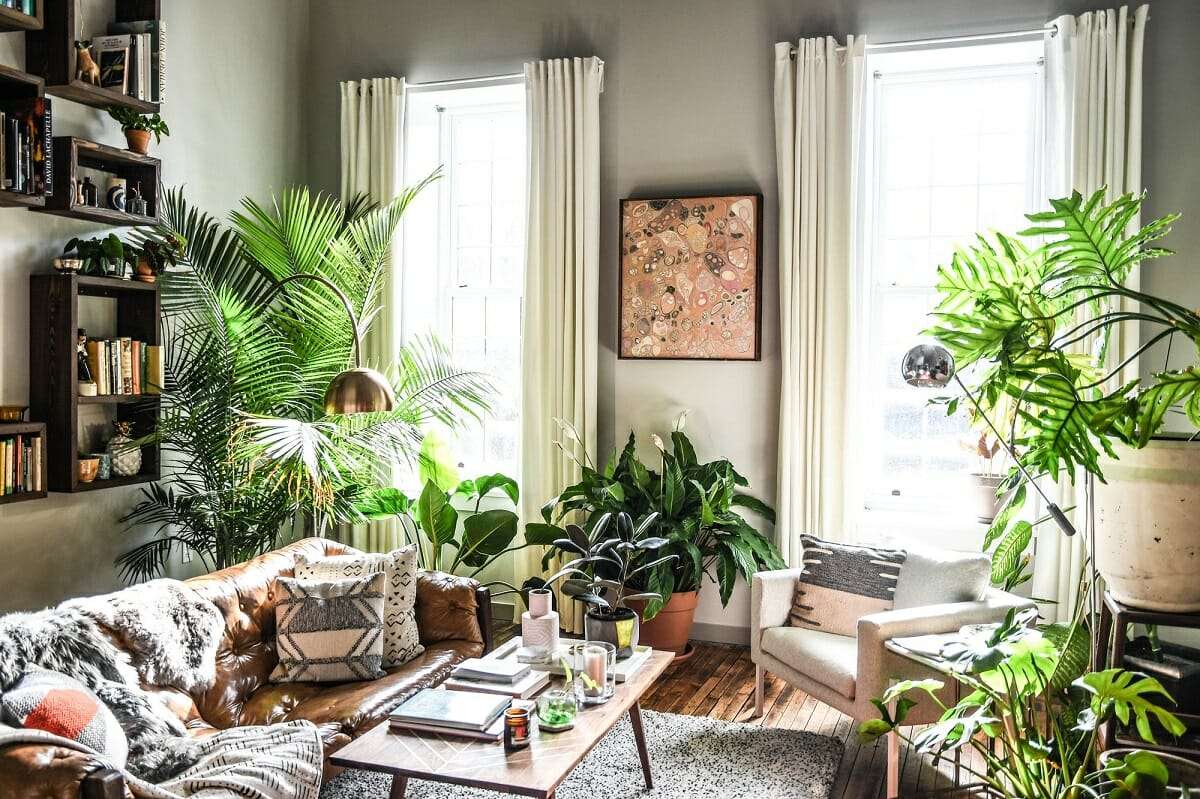 Plantas en una habitación 7 rompecabezas en línea