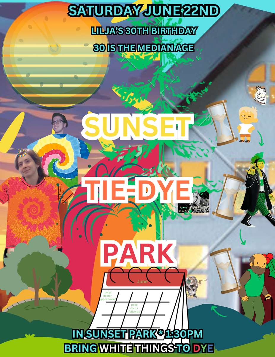 sunsetpark online puzzle