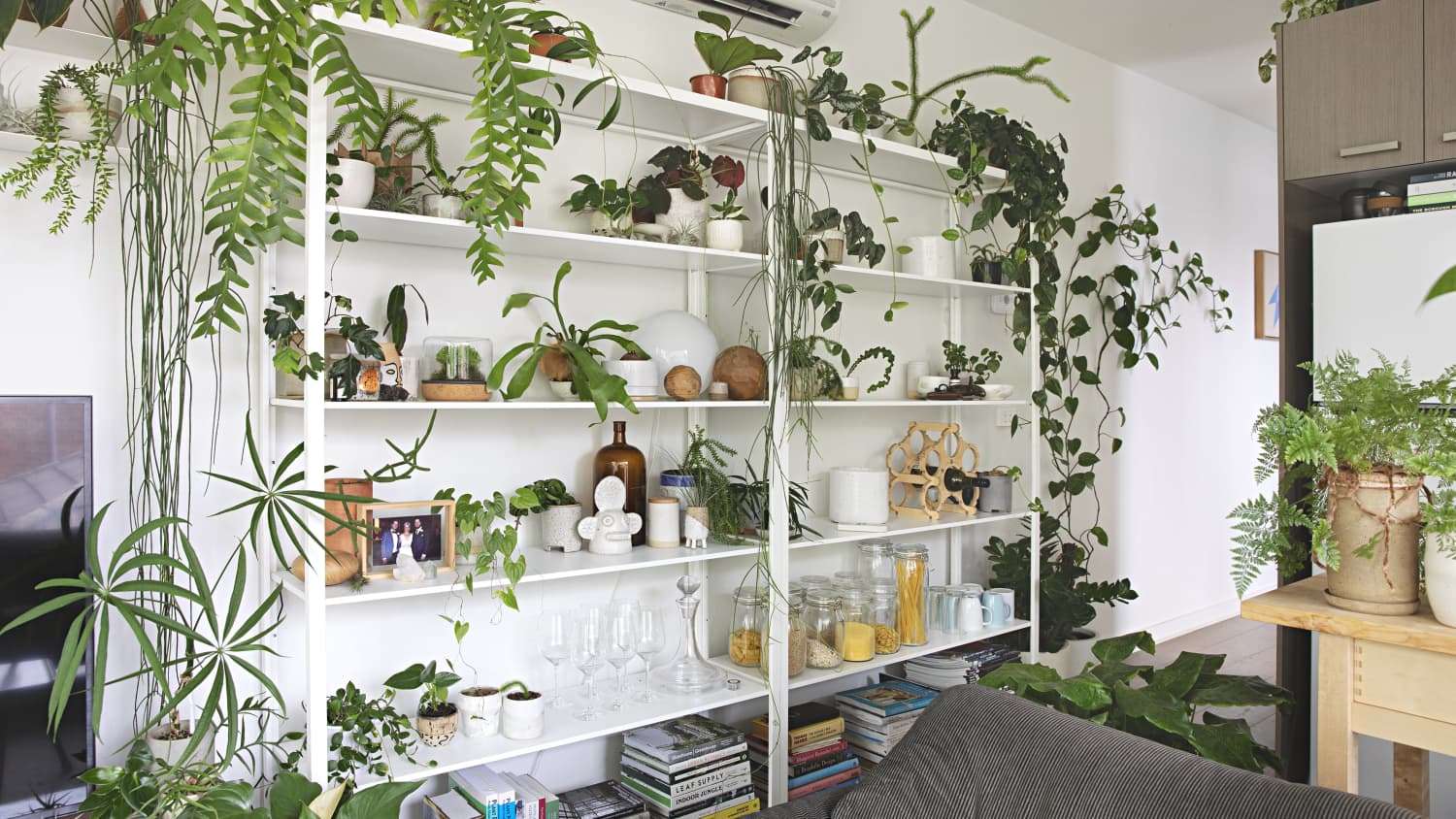 Kamer met planten online puzzel