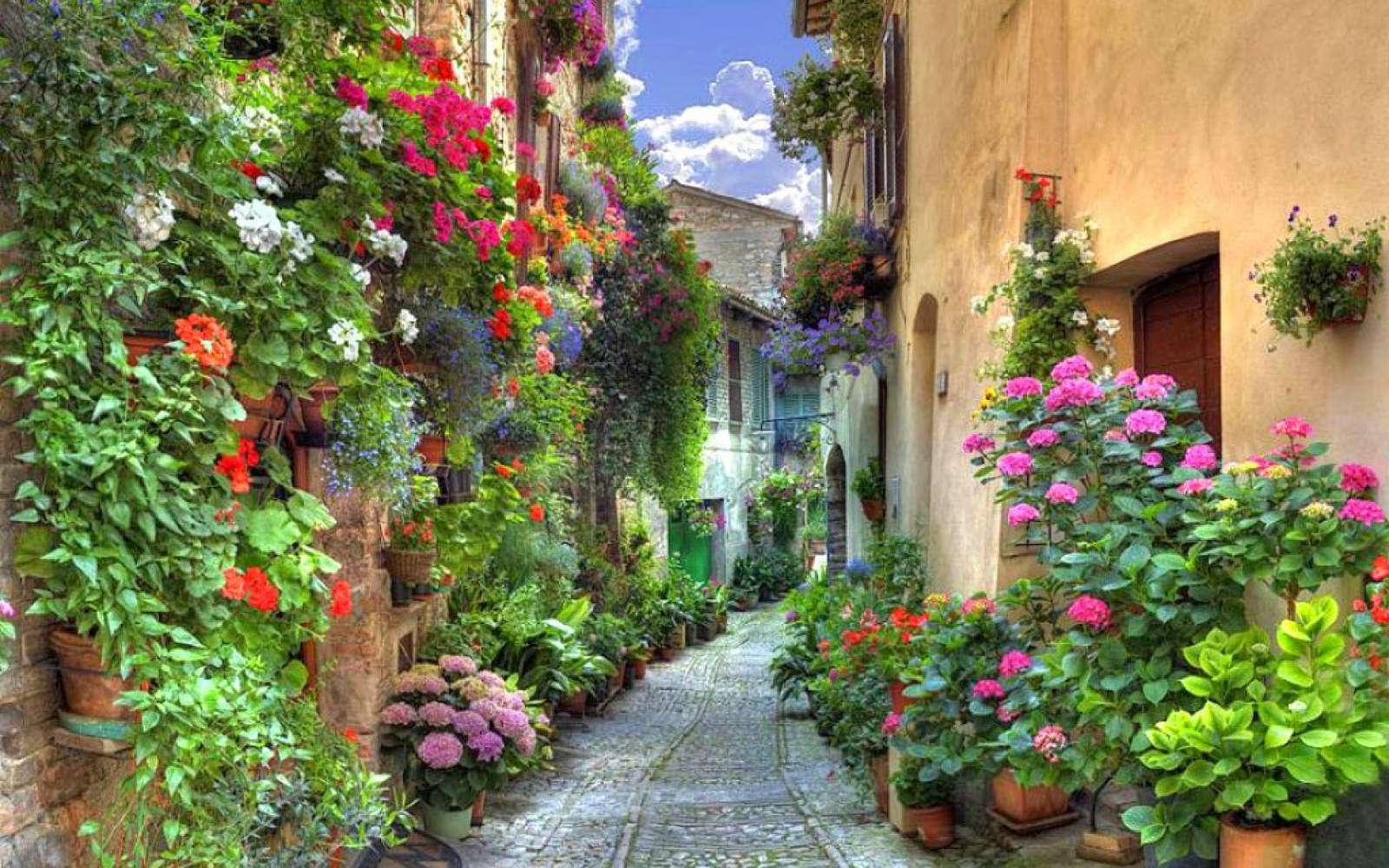 Plante pe strada Italia puzzle online