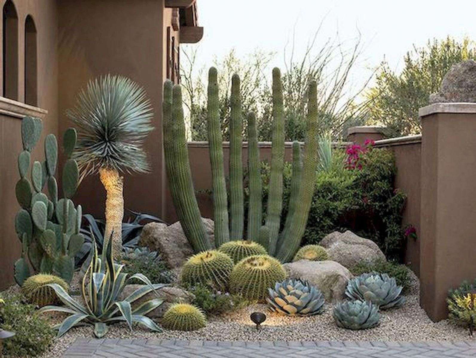 cactus en el patio rompecabezas en línea