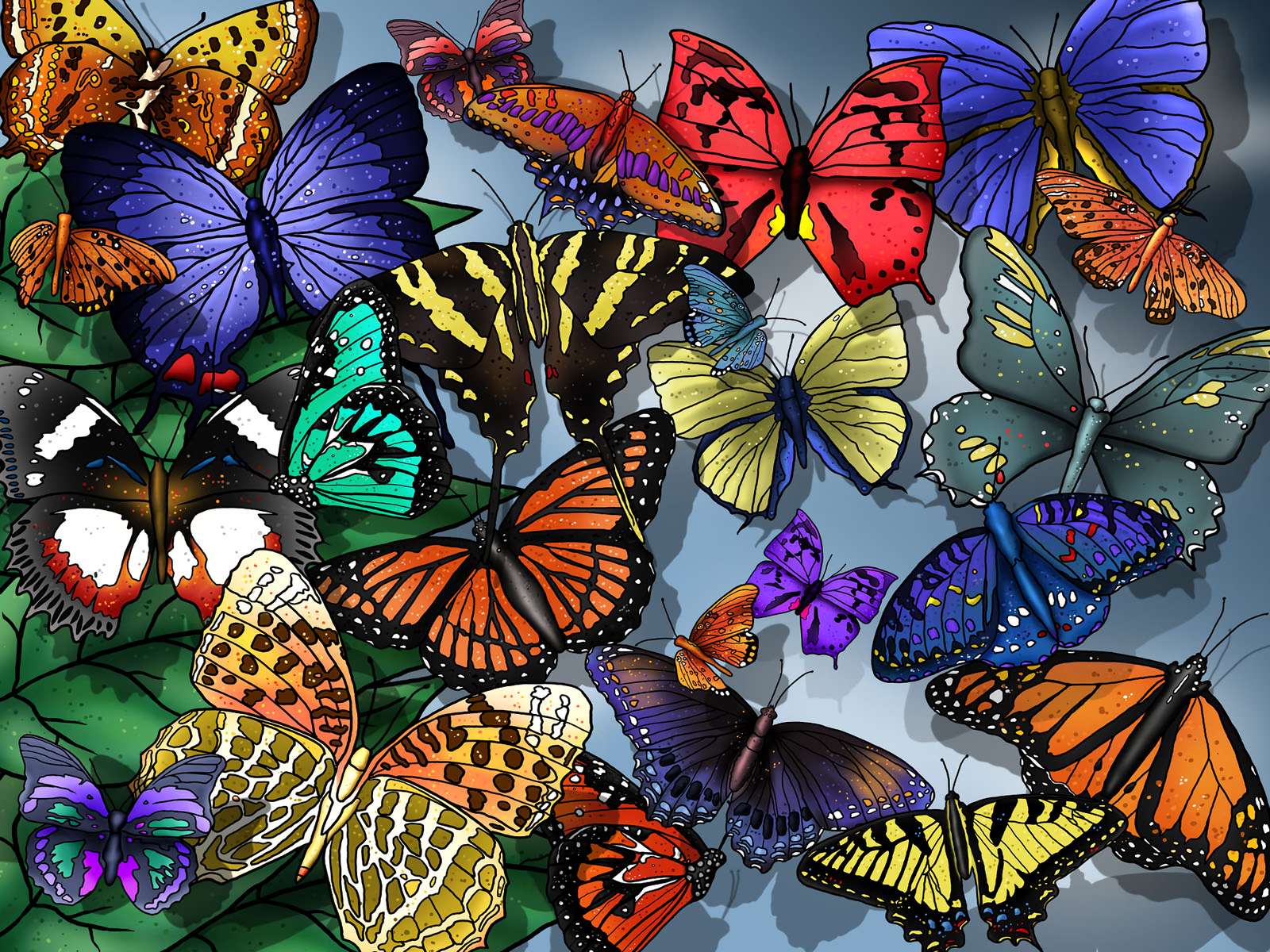 Butterfly Spread puzzle online din fotografie