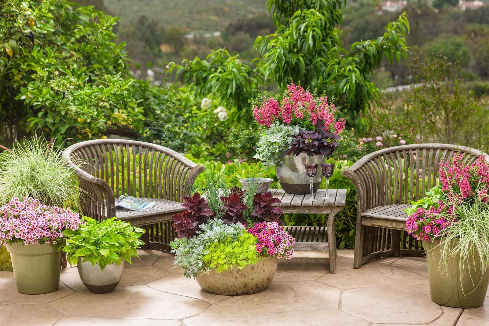 Patio LIfe With Plants puzzle online from photo