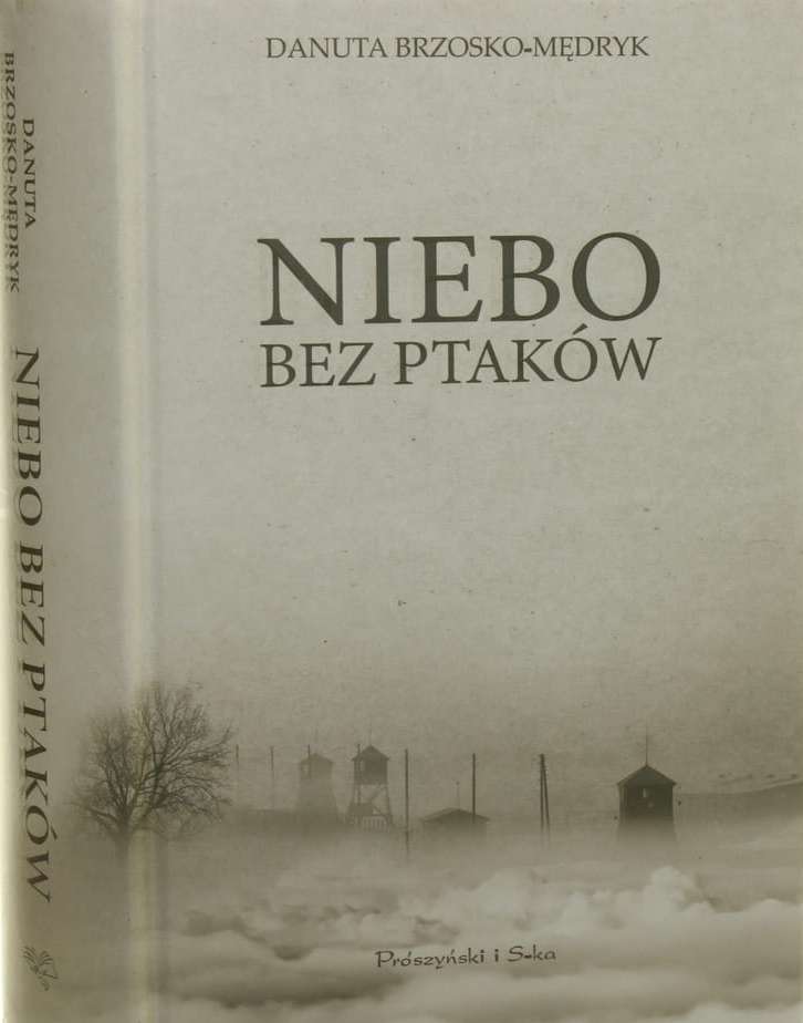 Niebo bez ptaków - Danuta Brzosko-Mędryk puzzle online din fotografie