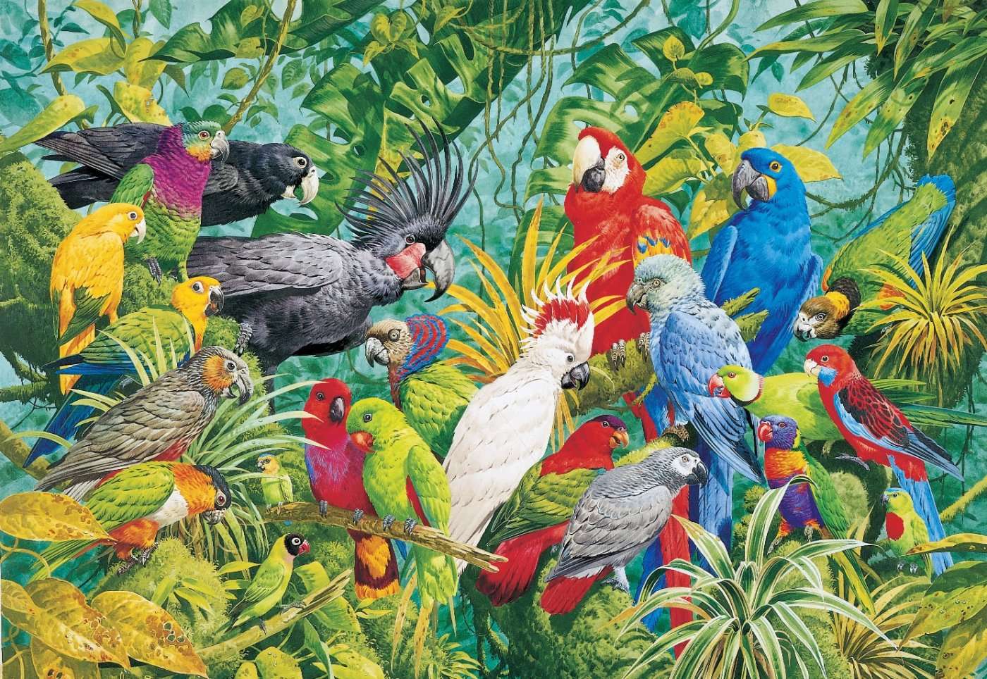 Păsări tropicale de pădure puzzle online din fotografie